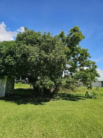 925 Sw 39th Lane Okeechobee FL 34974