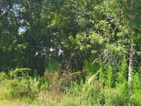 474 SW Kaabe Avenue Port Saint Lucie FL 34953