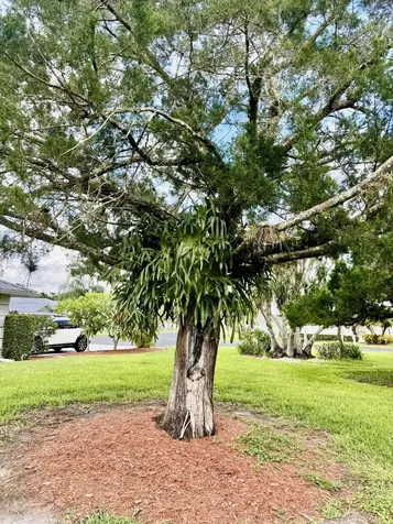 2501 Se 6th Avenue Okeechobee FL 34974