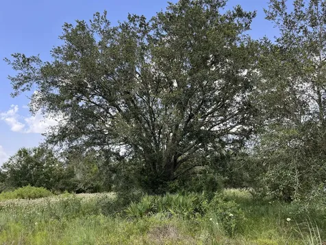 17915 NW 290th Street Okeechobee FL 34972