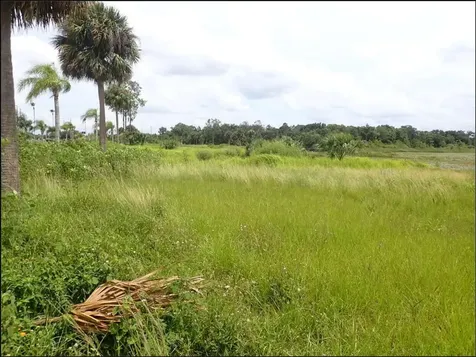 0 W Irlo Bronson Memorial Highway Kissimmee FL 34741