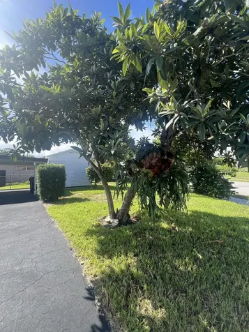 1319 Crest Drive Lake Worth Beach FL 33461
