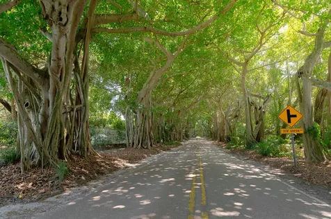 3800 Se Bent Banyan Way Stuart FL 34997