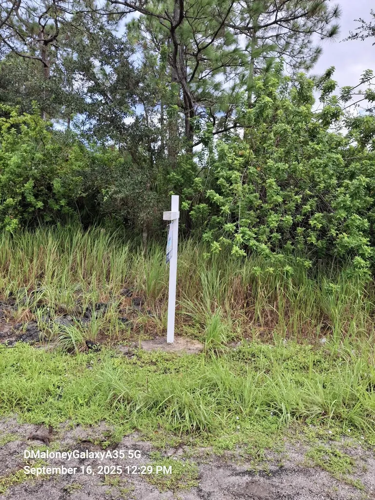 3067 Cambria Avenue Palm Bay FL 32908
