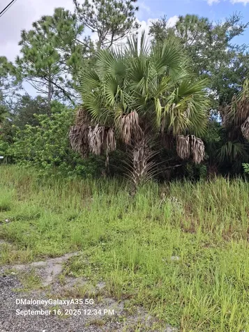 3067 Cambria Avenue Palm Bay FL 32908