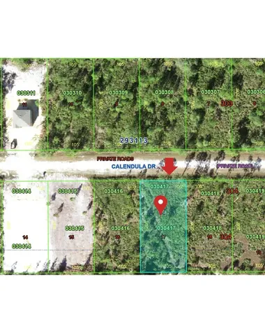 1015 Calendula Drive Indian Lake Estates FL 33855