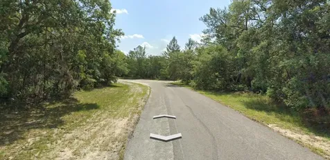 Tbd SW 72nd Circle Dunnellon FL 34432