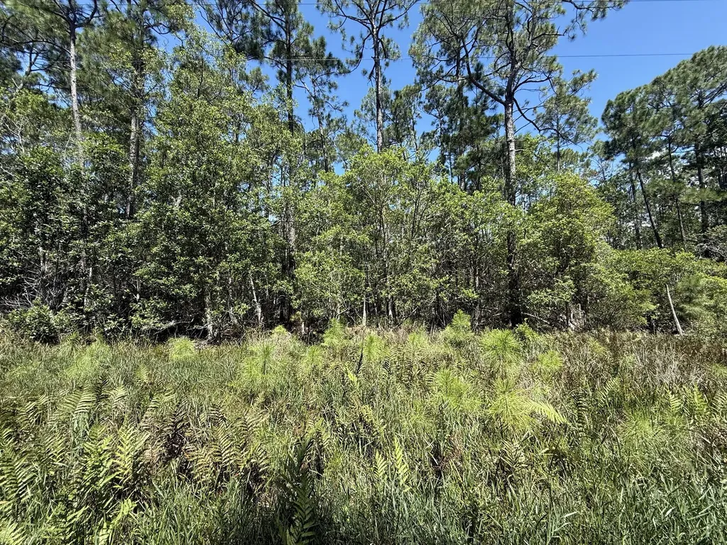 210 SE 2nd Street Georgetown FL 32139