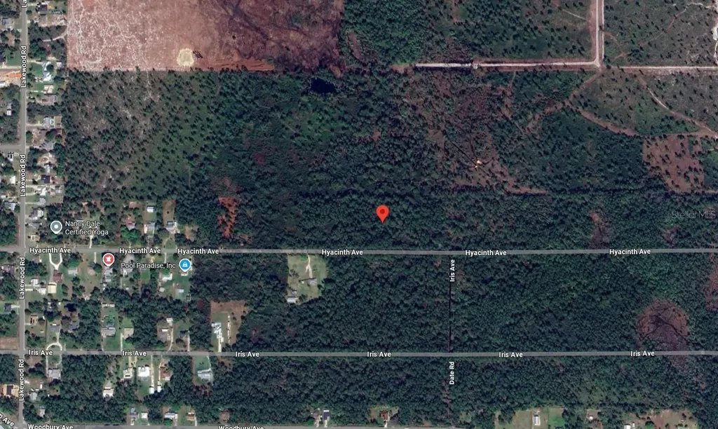 1016 Hyacinth Avenue Sebring FL 33875