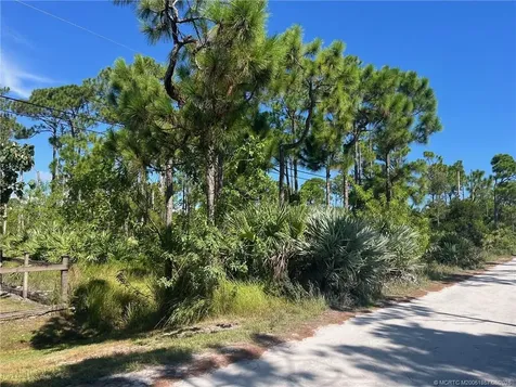 X Tree Top Trail Lakewood Park FL 34951