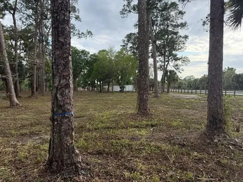 14439 Collecting Canal Road Loxahatchee Groves FL 33470