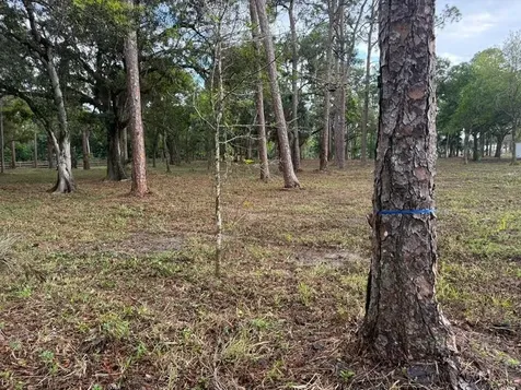 14439 Collecting Canal Road Loxahatchee Groves FL 33470