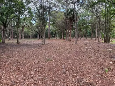 14439 Collecting Canal Road Loxahatchee Groves FL 33470