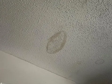 203 Canterbury Drive Riviera Beach FL 33407