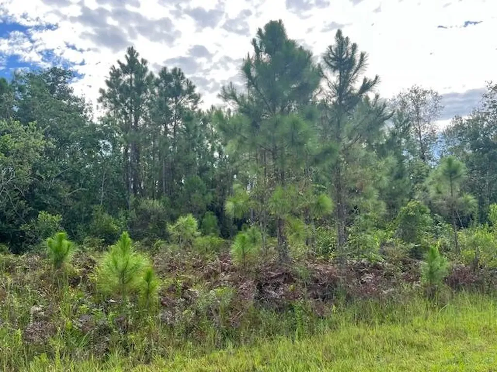 1131 Greenfield Street Lake Placid FL 33852