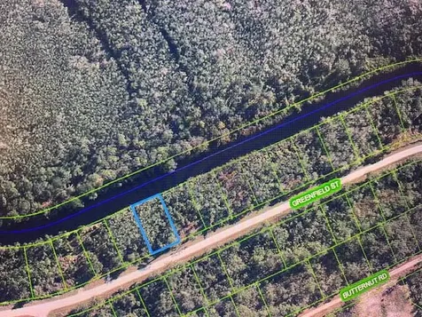 1131 Greenfield Street Lake Placid FL 33852