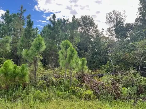 1131 Greenfield Street Lake Placid FL 33852