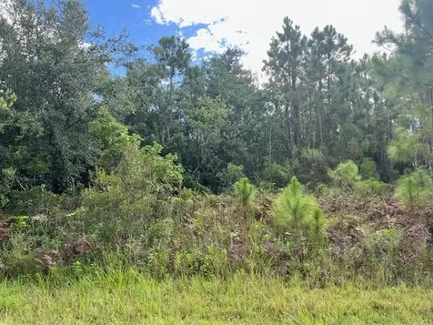 1131 Greenfield Street Lake Placid FL 33852