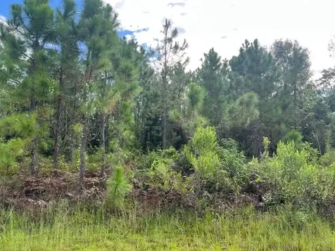 1131 Greenfield Street Lake Placid FL 33852