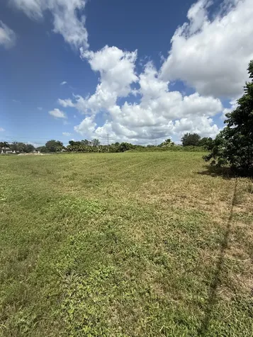 0 0 Mandarin Boulevard The Acreage FL 33470