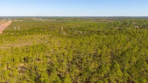 0000 NE 125th Avenue Fort McCoy FL 32134
