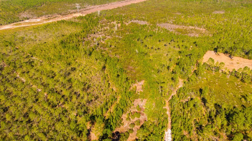 0000 NE 125th Avenue Fort McCoy FL 32134