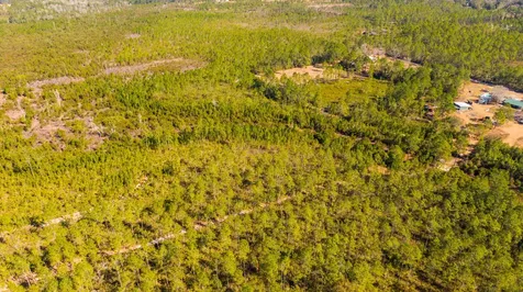 0000 NE 125th Avenue Fort McCoy FL 32134
