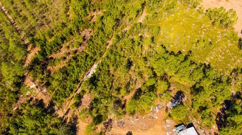 0000 NE 125th Avenue Fort McCoy FL 32134