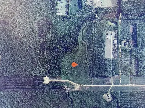 0000 NE 125th Avenue Fort McCoy FL 32134