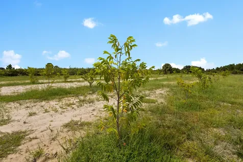 20914 NW 280th Street Okeechobee FL 34972