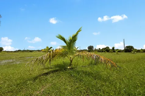 20914 NW 280th Street Okeechobee FL 34972
