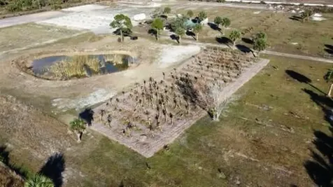 20914 NW 280th Street Okeechobee FL 34972