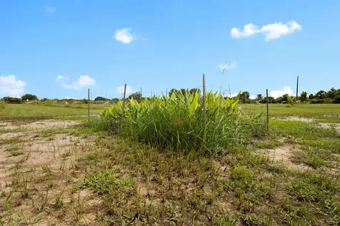 20914 NW 280th Street Okeechobee FL 34972
