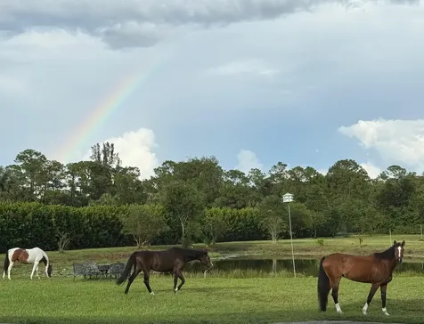 2770 E Road Loxahatchee Groves FL 33470