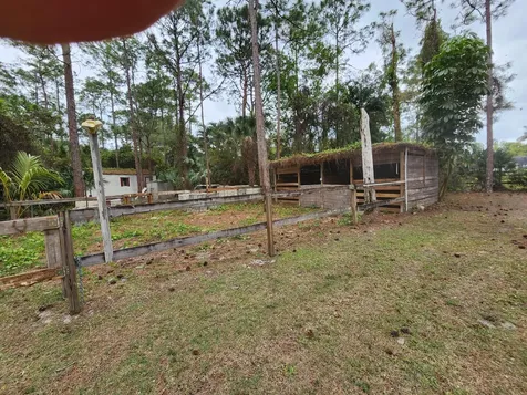 16784 84th Court The Acreage FL 33470