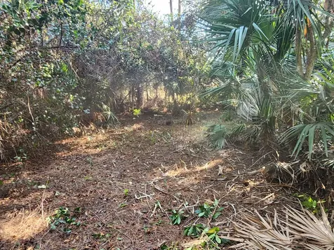 16784 84th Court The Acreage FL 33470