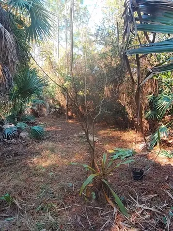 16784 84th Court The Acreage FL 33470