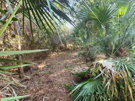 16784 84th Court The Acreage FL 33470