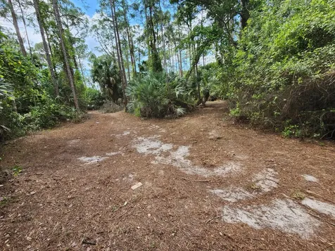 16784 84th Court The Acreage FL 33470