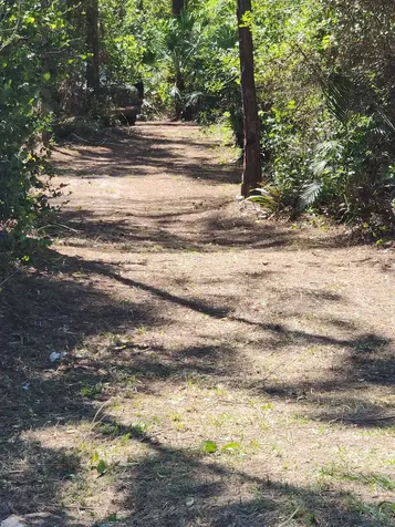 16784 84th Court The Acreage FL 33470