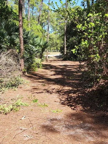 16784 84th Court The Acreage FL 33470