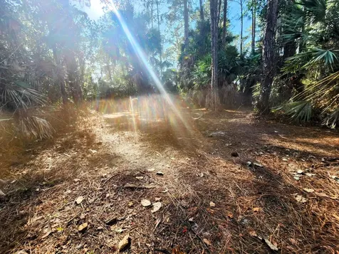 16784 84th Court The Acreage FL 33470