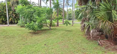 13616 Orange Grove Boulevard The Acreage FL 33411