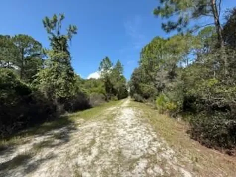 337 Palm Way Georgetown FL 32139