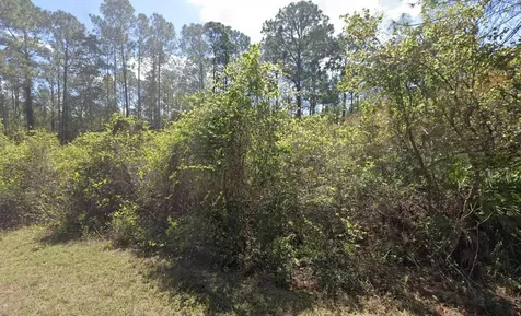 337 Palm Way Georgetown FL 32139