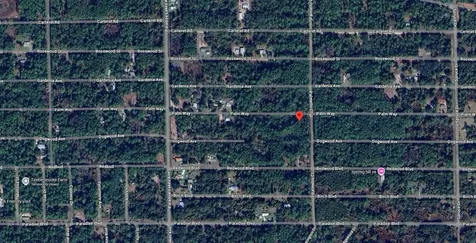 337 Palm Way Georgetown FL 32139