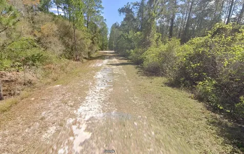 337 Palm Way Georgetown FL 32139