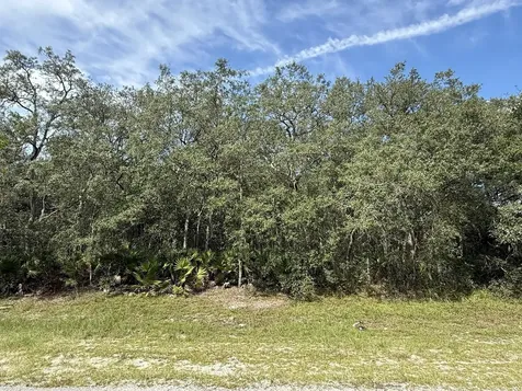 Tbd SW 146th Lane Road Dunnellon FL 34432