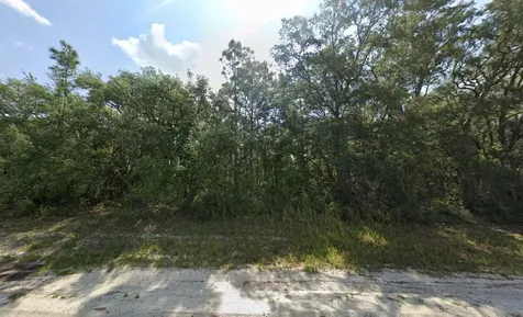 Tbd SW 146th Lane Road Dunnellon FL 34432