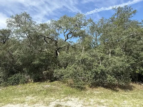 Tbd SW 146th Lane Road Dunnellon FL 34432